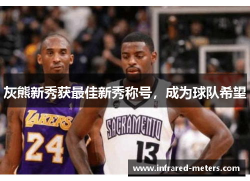 灰熊新秀获最佳新秀称号，成为球队希望