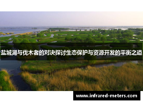 盐城湖与伐木者的对决探讨生态保护与资源开发的平衡之道